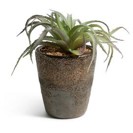 Habitat Faux Aloe in Ceramic Planter - Brown