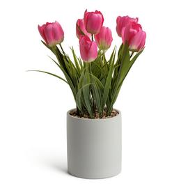 Garden by Sainsbury's Faux Tulips in Planter - Pink