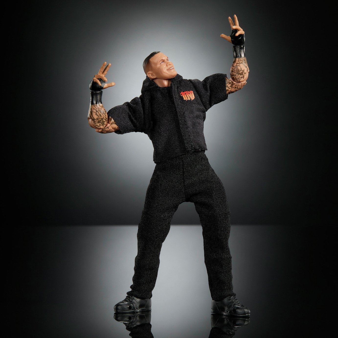 Randy Orton Action Figure & Accessories Set 6-inch Collectables
