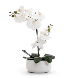 Habitat Large Faux Orchid in White Pot