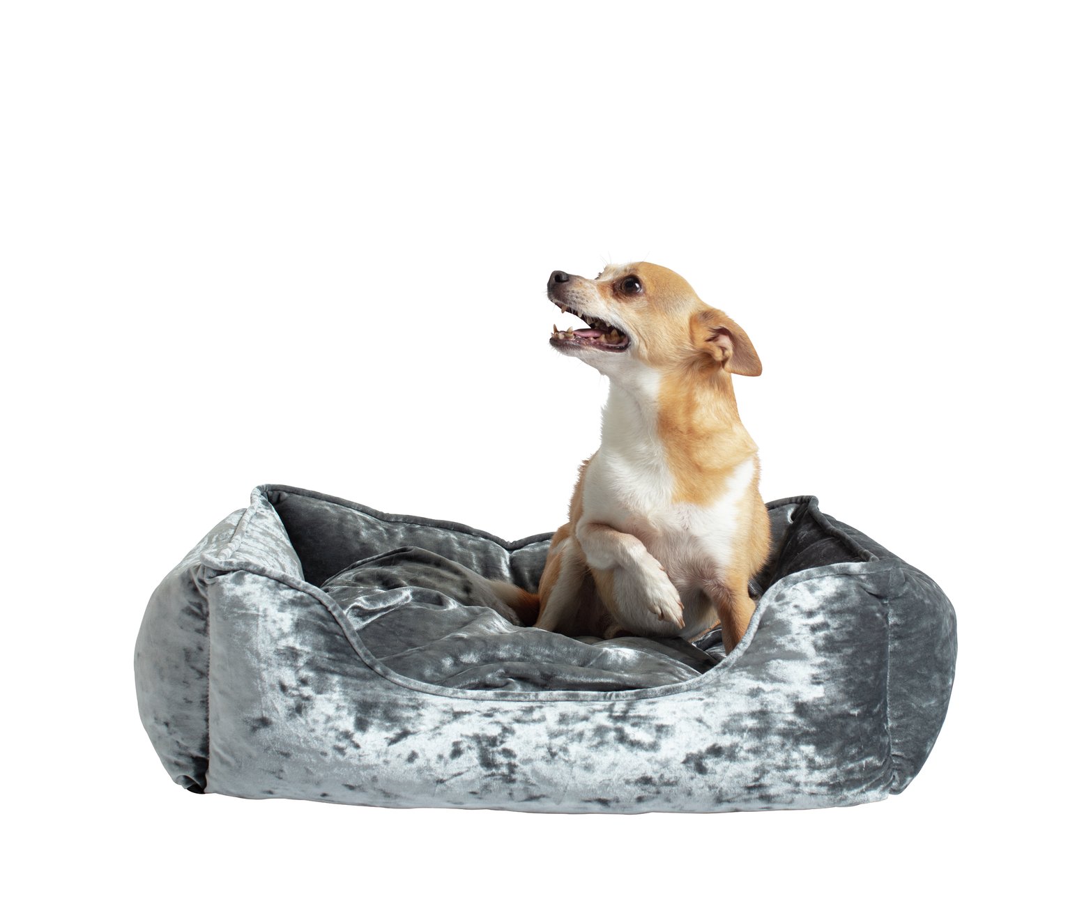 Grey Crushed Velvet Box Bed