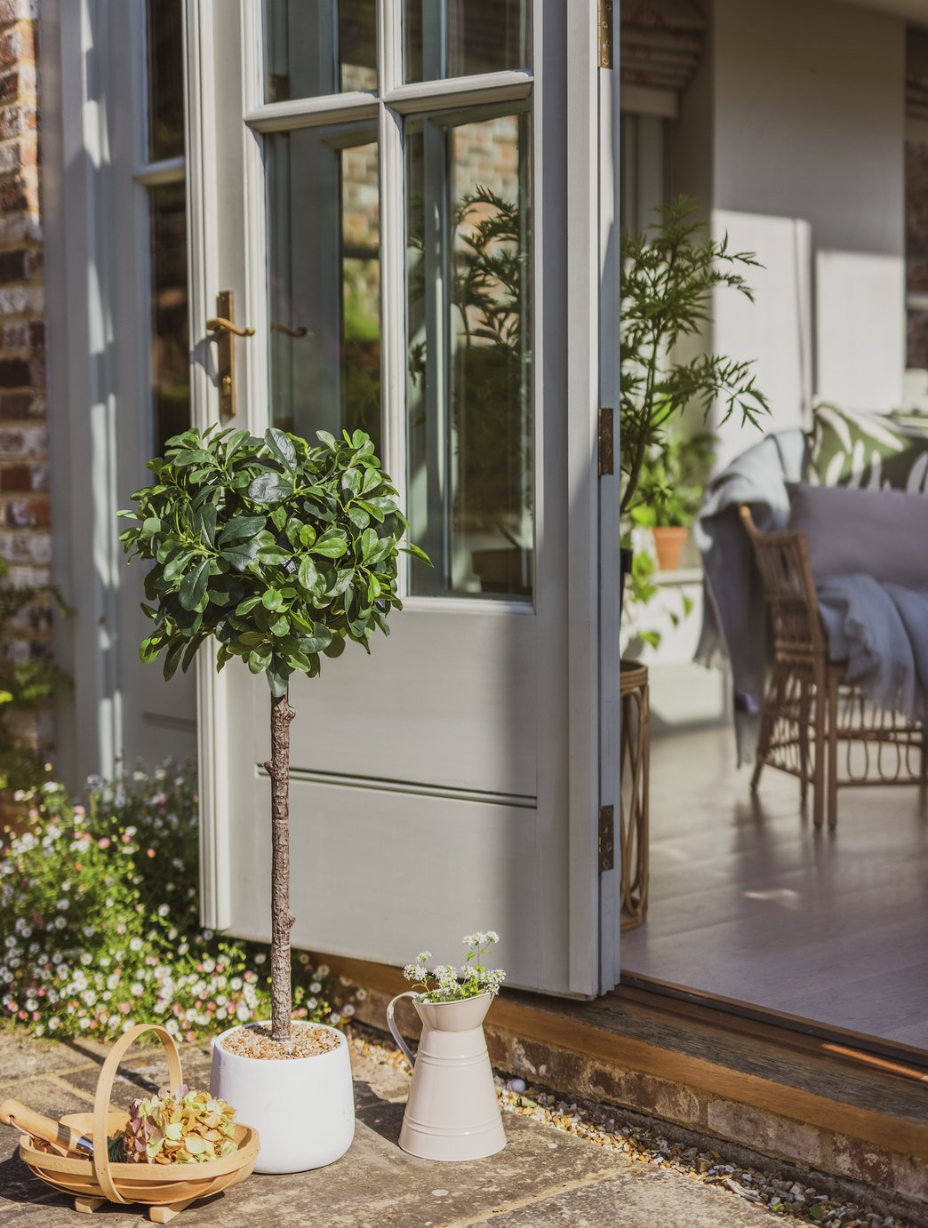Garden by Sainsbury's Rounded Bay Tree in Pot