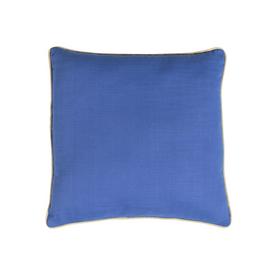 Garden Pack Of 2 Scatter Cushion - Blue 