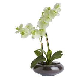 Habitat Large Faux Orchid in Glass Pot - White 