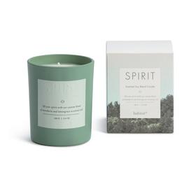 Habitat Spirit Medium Boxed Candle - Mandarin & Lemongrass 
