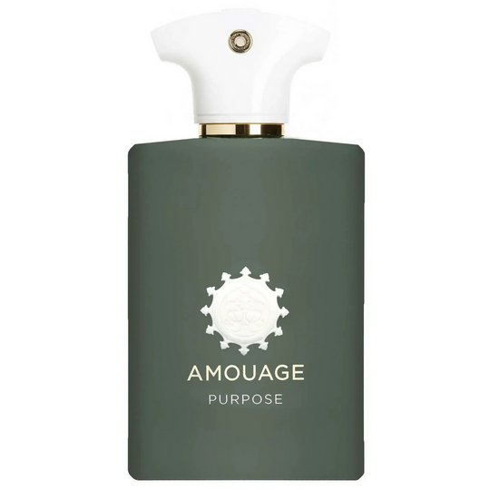 Amouage Purpose Man Eau de Parfum 100ml