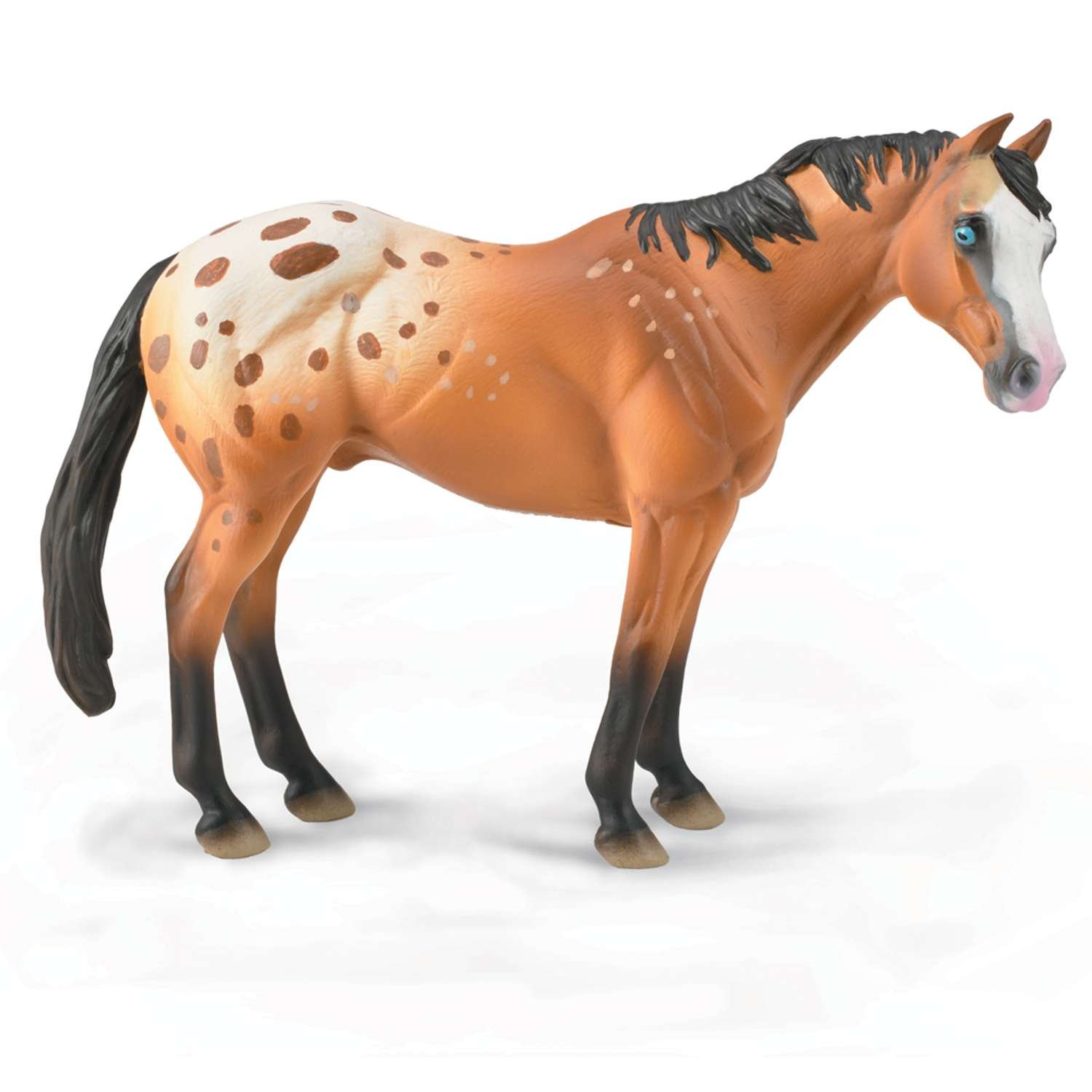 CollectA Appaloosa Stallion Light Brown - 3 Years +