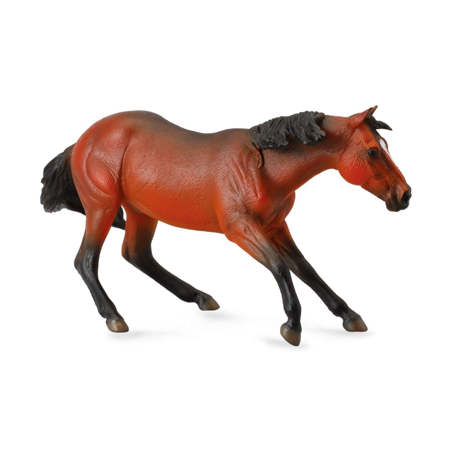 CollectA Quarter Horse Bay - 3 Years +