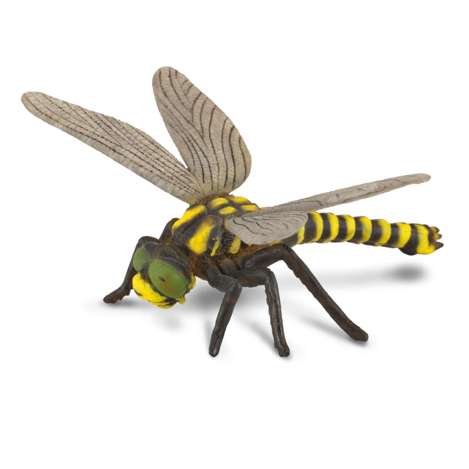 CollectA Goldenringed Dragonfly - 3 Years +