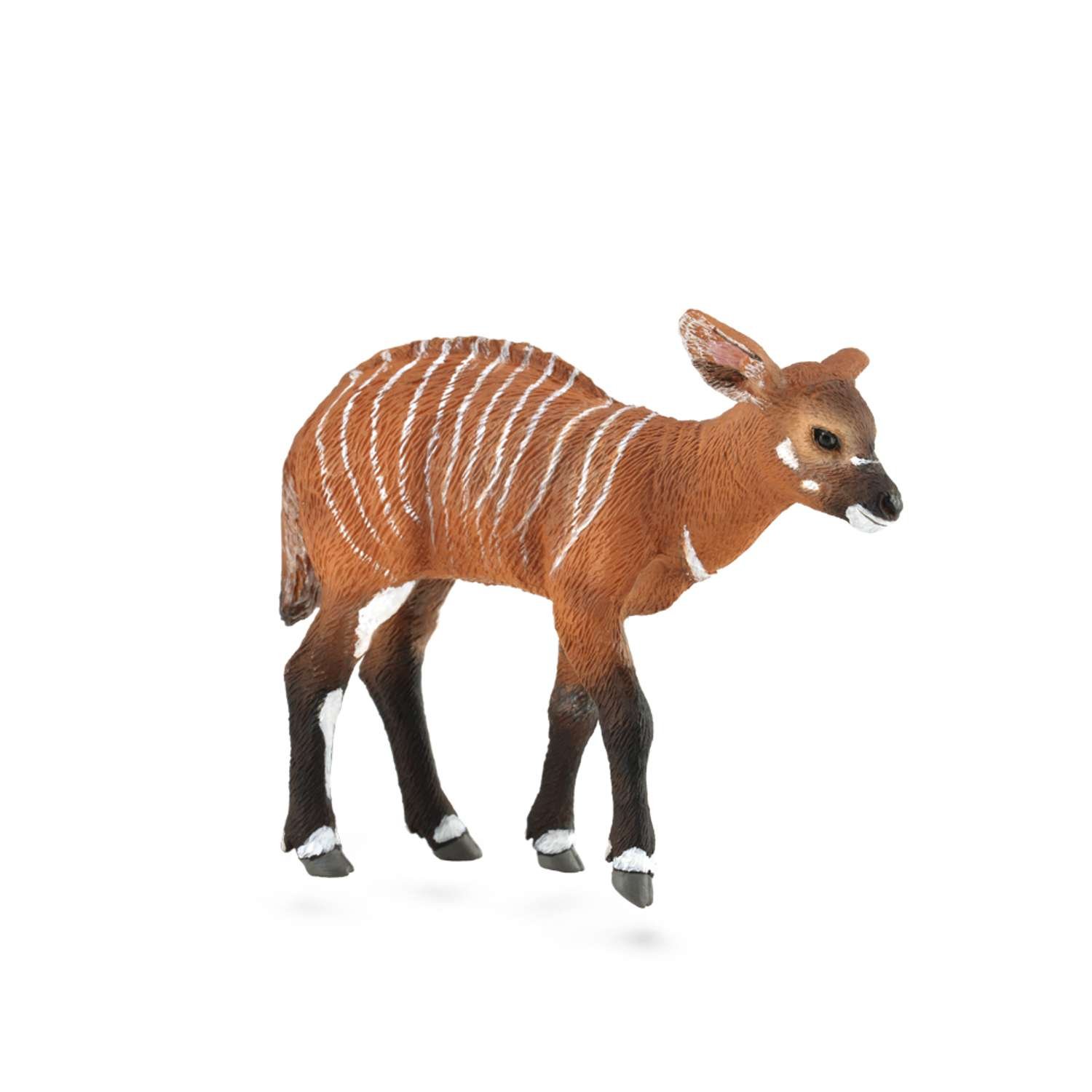 CollectA Bongo Calf - 3 Years +