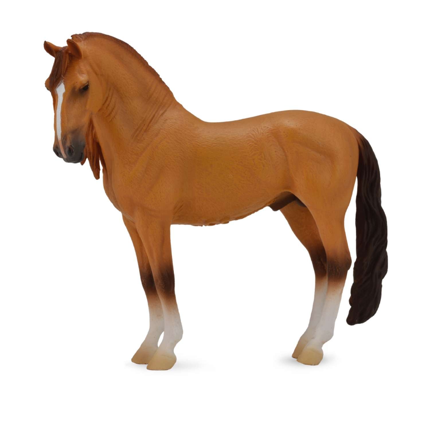CollectA Campolina Stallion Red Dun - 3 Years +