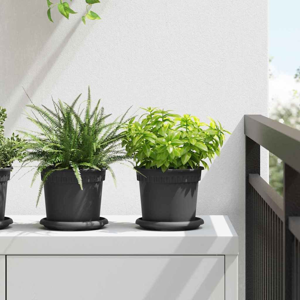 Walplus Pack of 6 Plastic Round Garden Planter Tray - Black - 14 x 14 x 2 cm