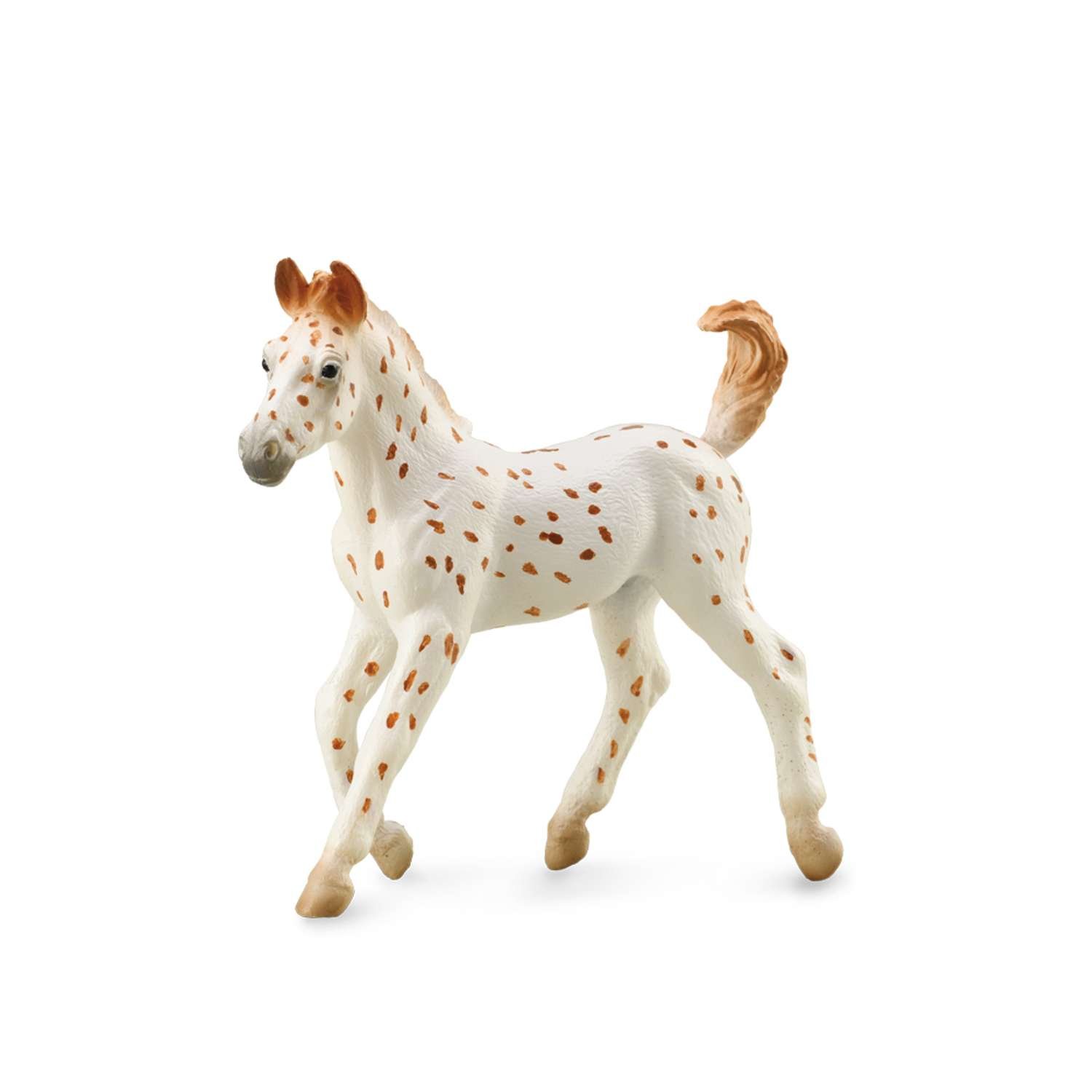CollectA Knabstrupper Foal - Leopard Spotted - 3 Years +