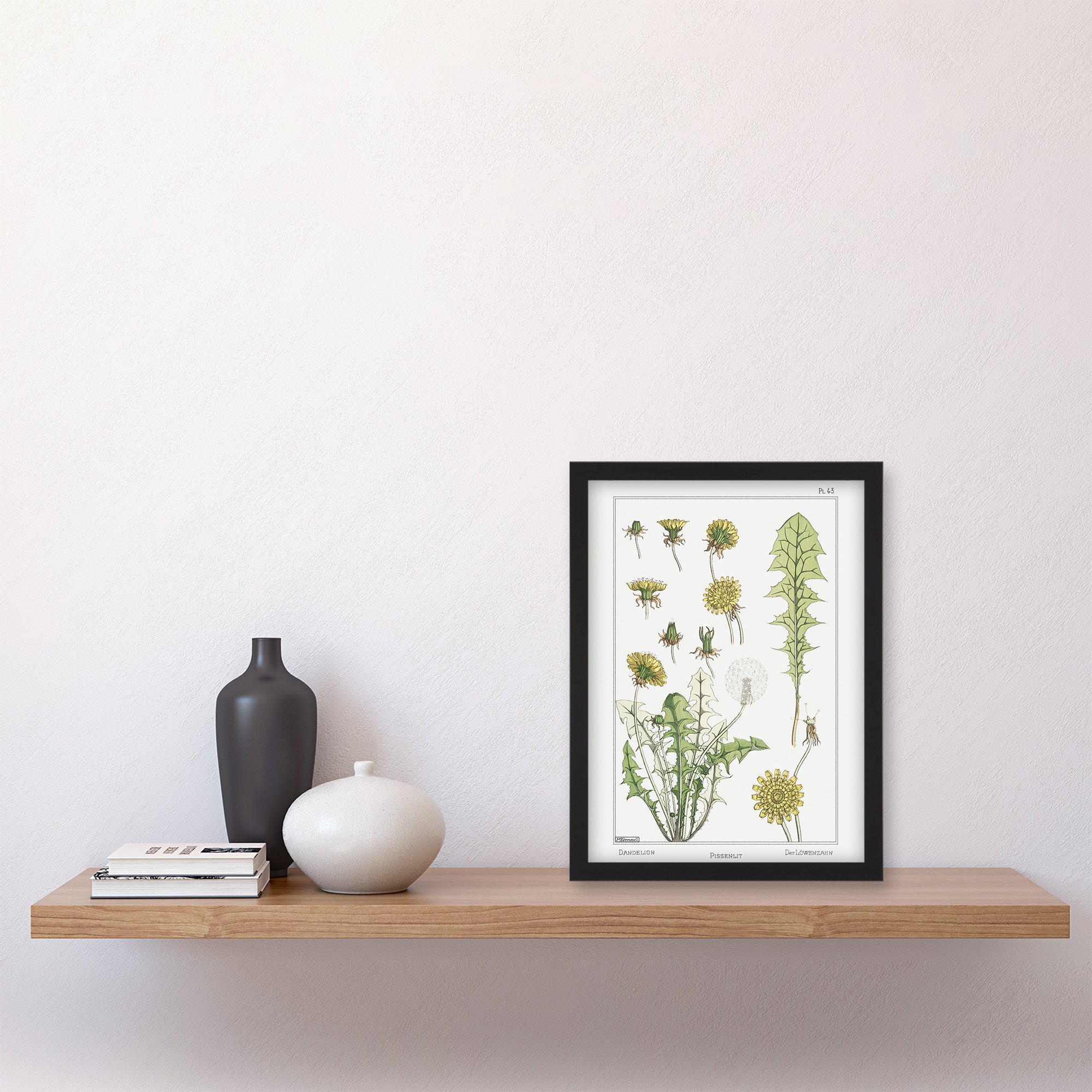 Maurice Pillard Verneuil Dandelion Flower Plant Framed Art Print - A4