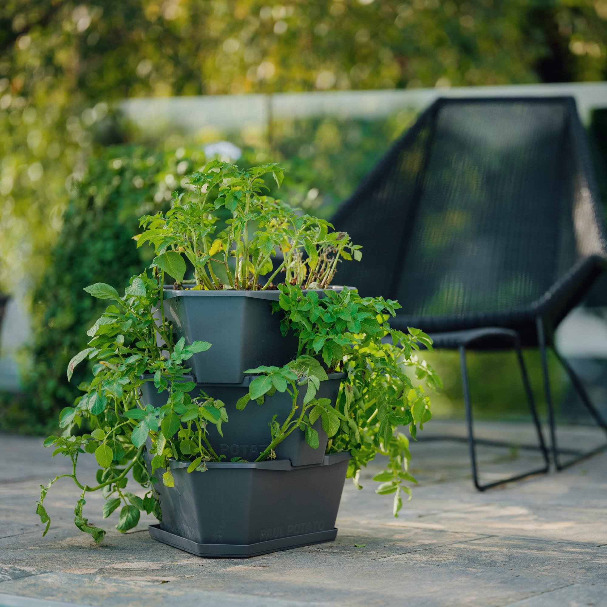 Gusta Garden Paul Potato 3-Tier Stackable Growing Tower for Balcony - Anthracite