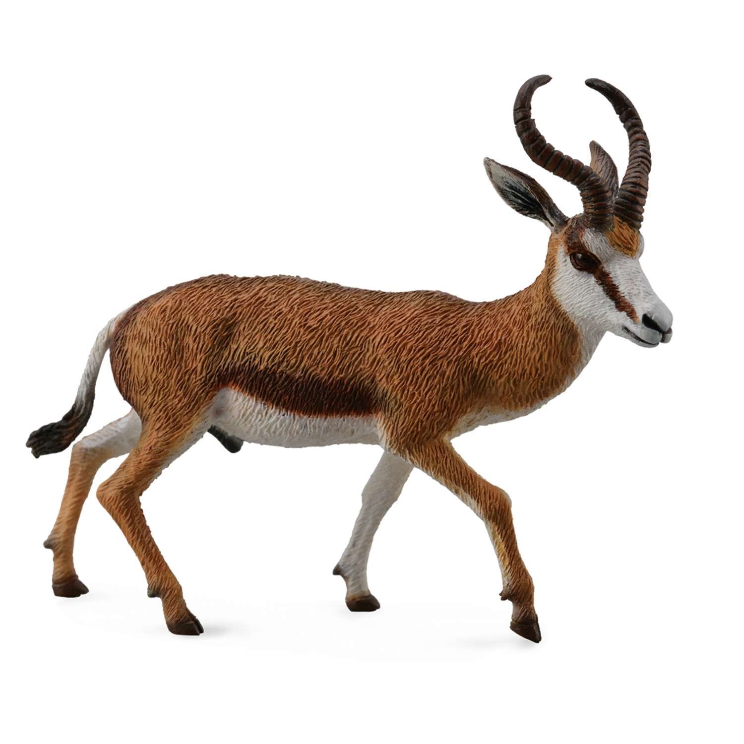 CollectA Springbok - 3 Years +