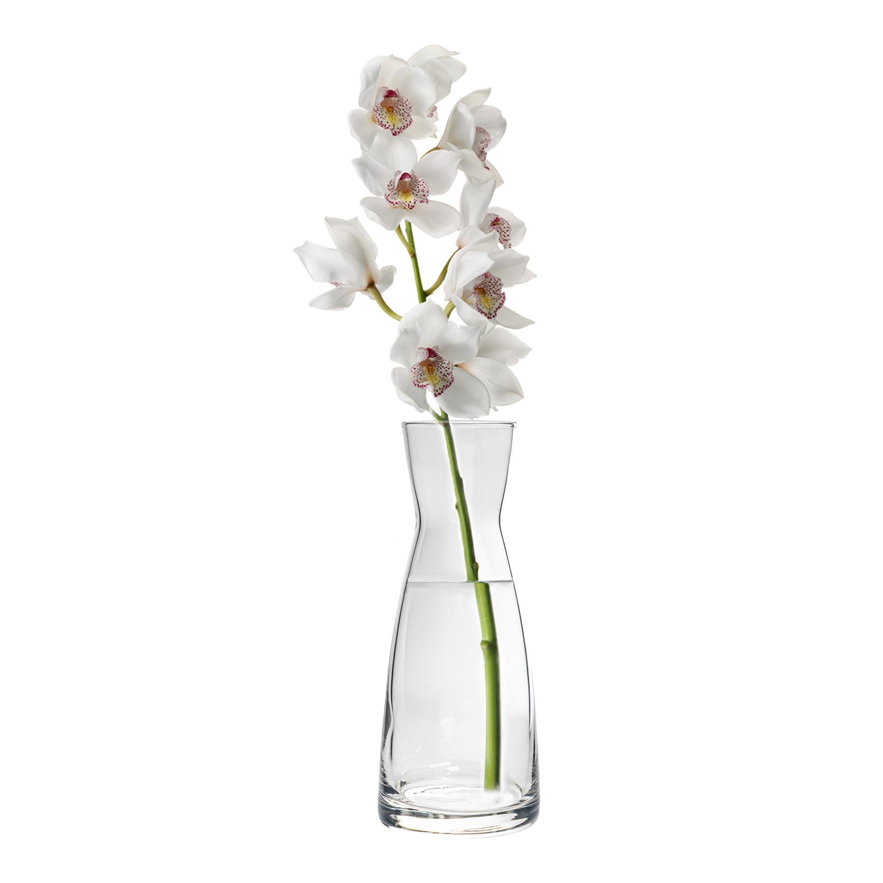 Bormioli Rocco Ypsilon Glass Carafe - 1.1 Litre
