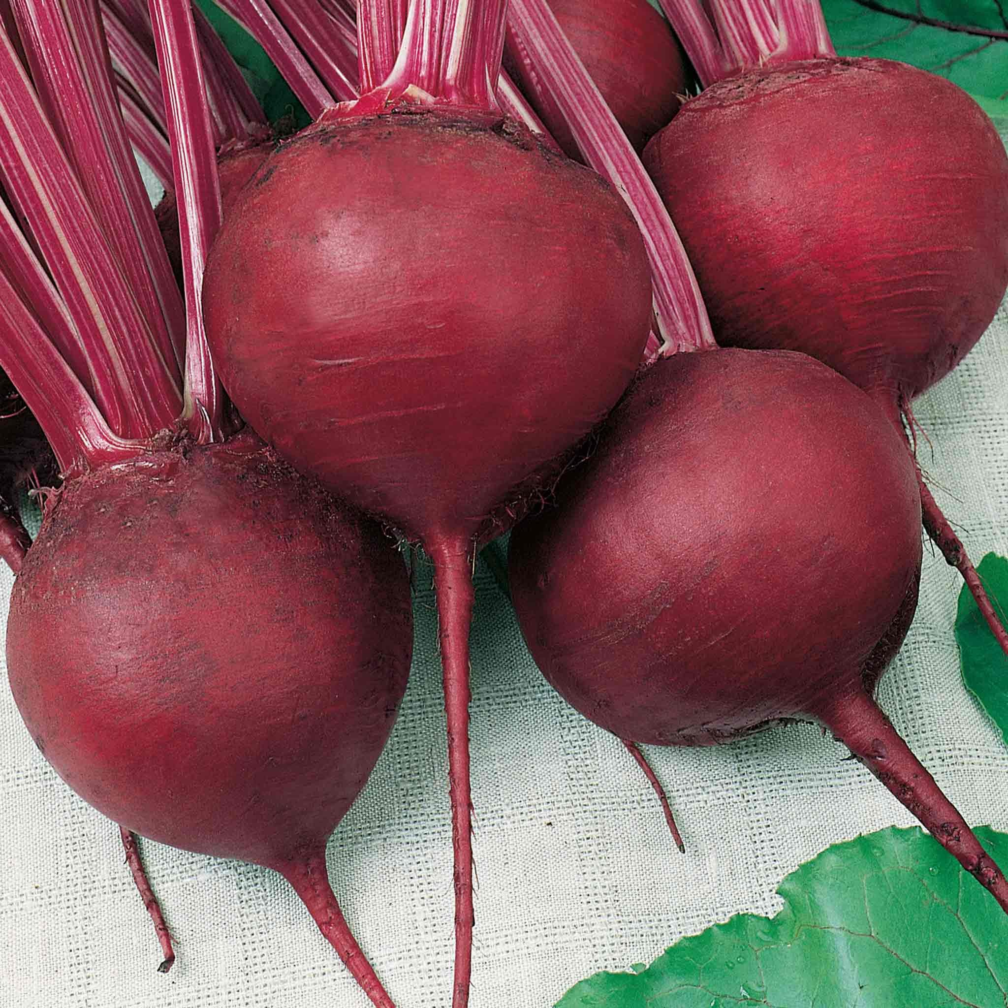 Unwins Beetroot Seeds 'Cardeal' - 200 Seeds