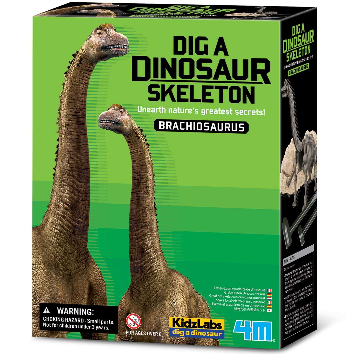 4M KidzLabs Dig a Dinosaur Skeleton - Brachiosaurus - 8 Years +