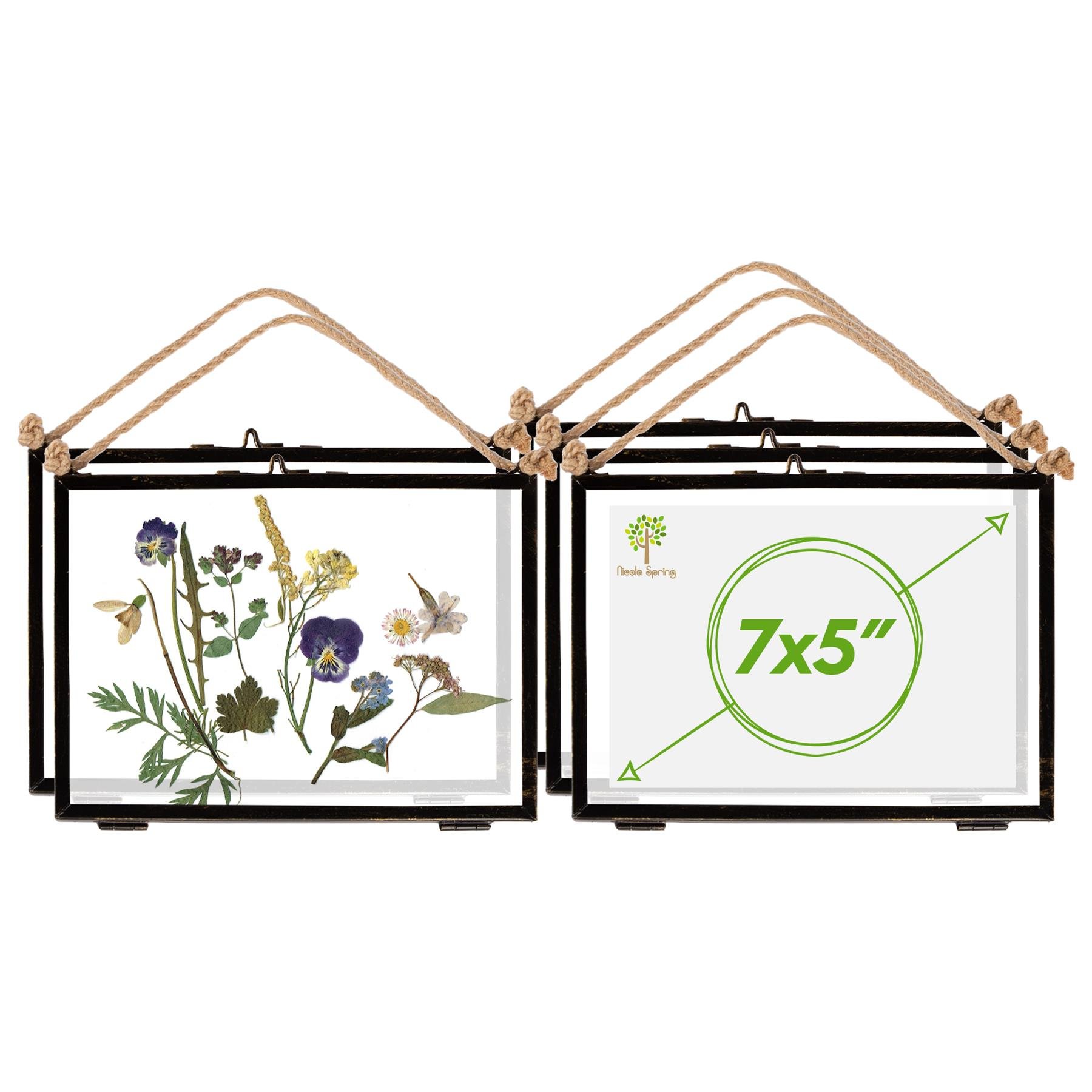 Nicola Spring Hanging Metal Photo Frame 7" x 5" Set of 5 - Black