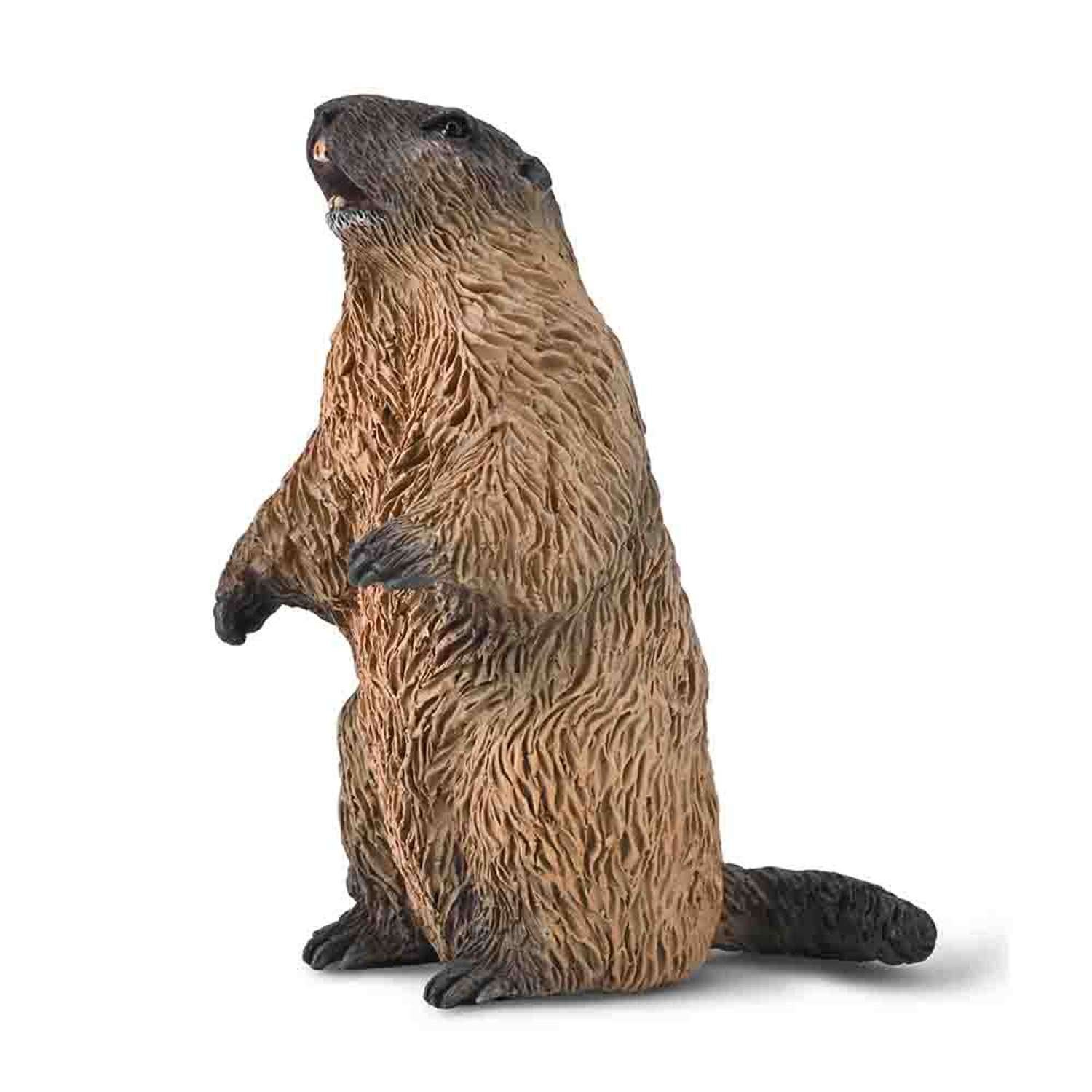 CollectA Marmot - 3 Years +