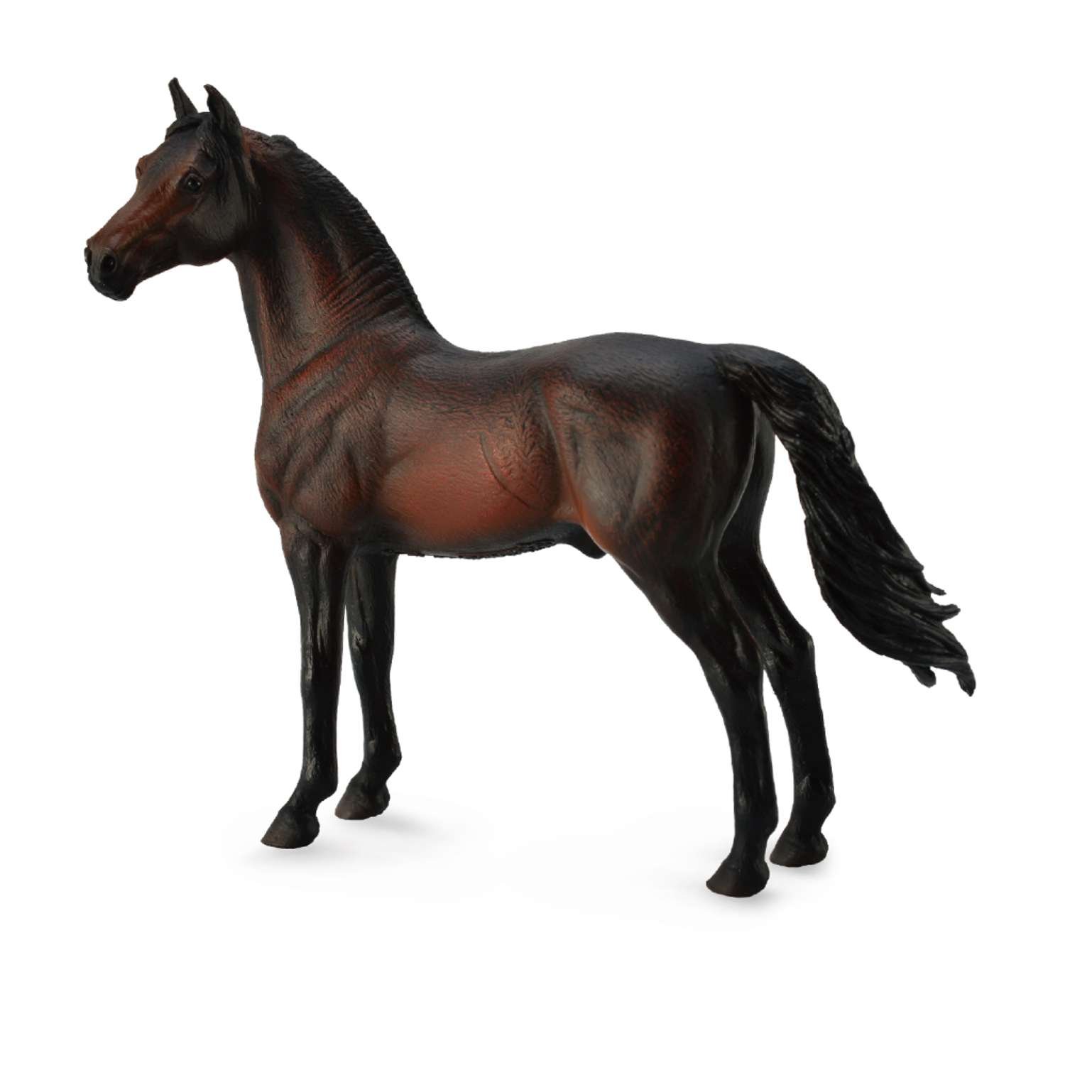 CollectA Morgan Stallion Bay - 3 Years +