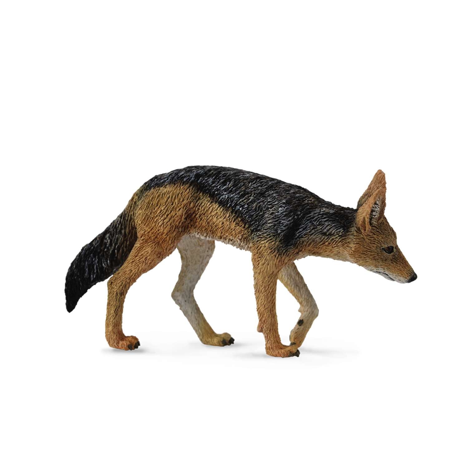 CollectA Blackbacked Jackal - 3 Years +