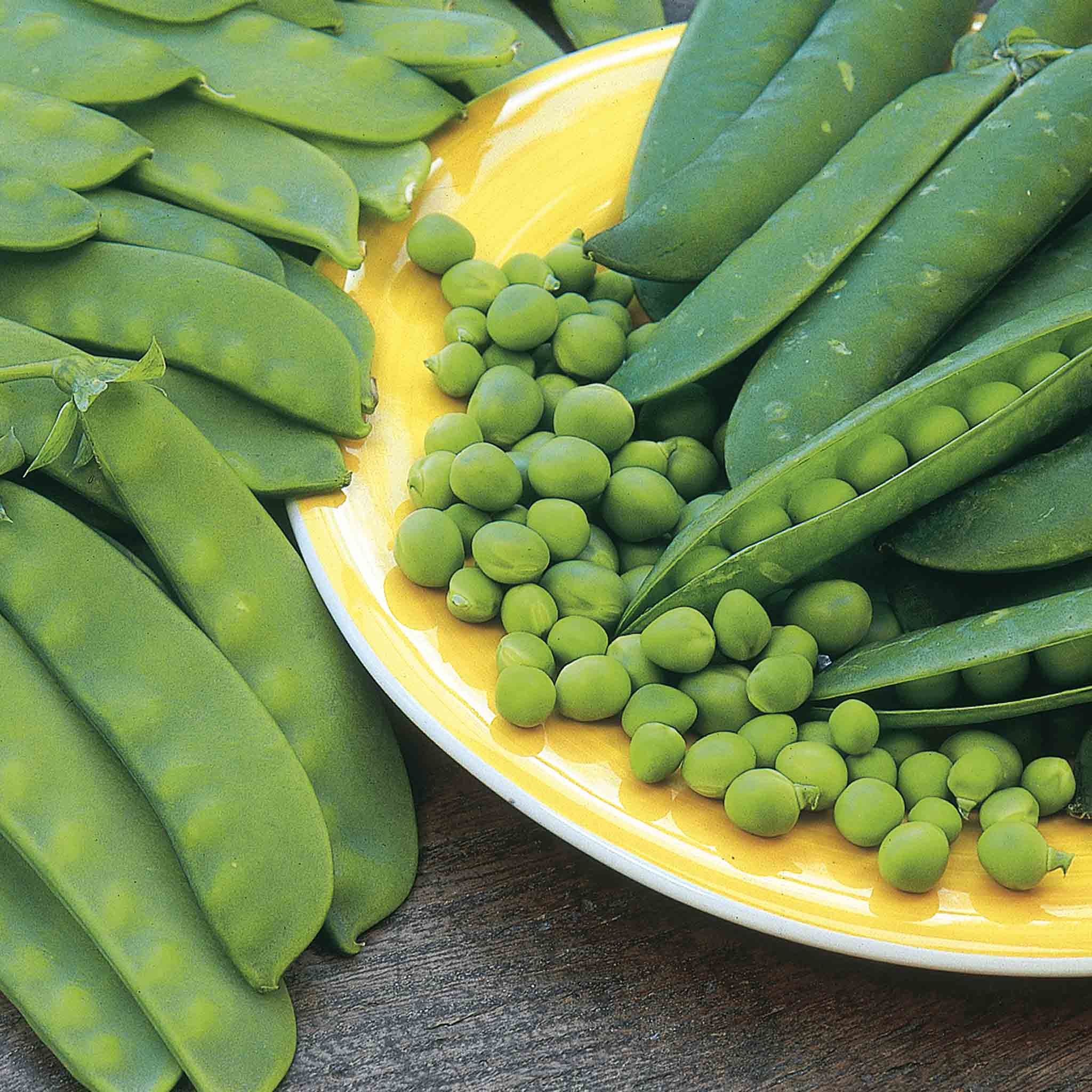 Unwins Pea Seeds Mangetout 'Delikata' - 130 Seeds