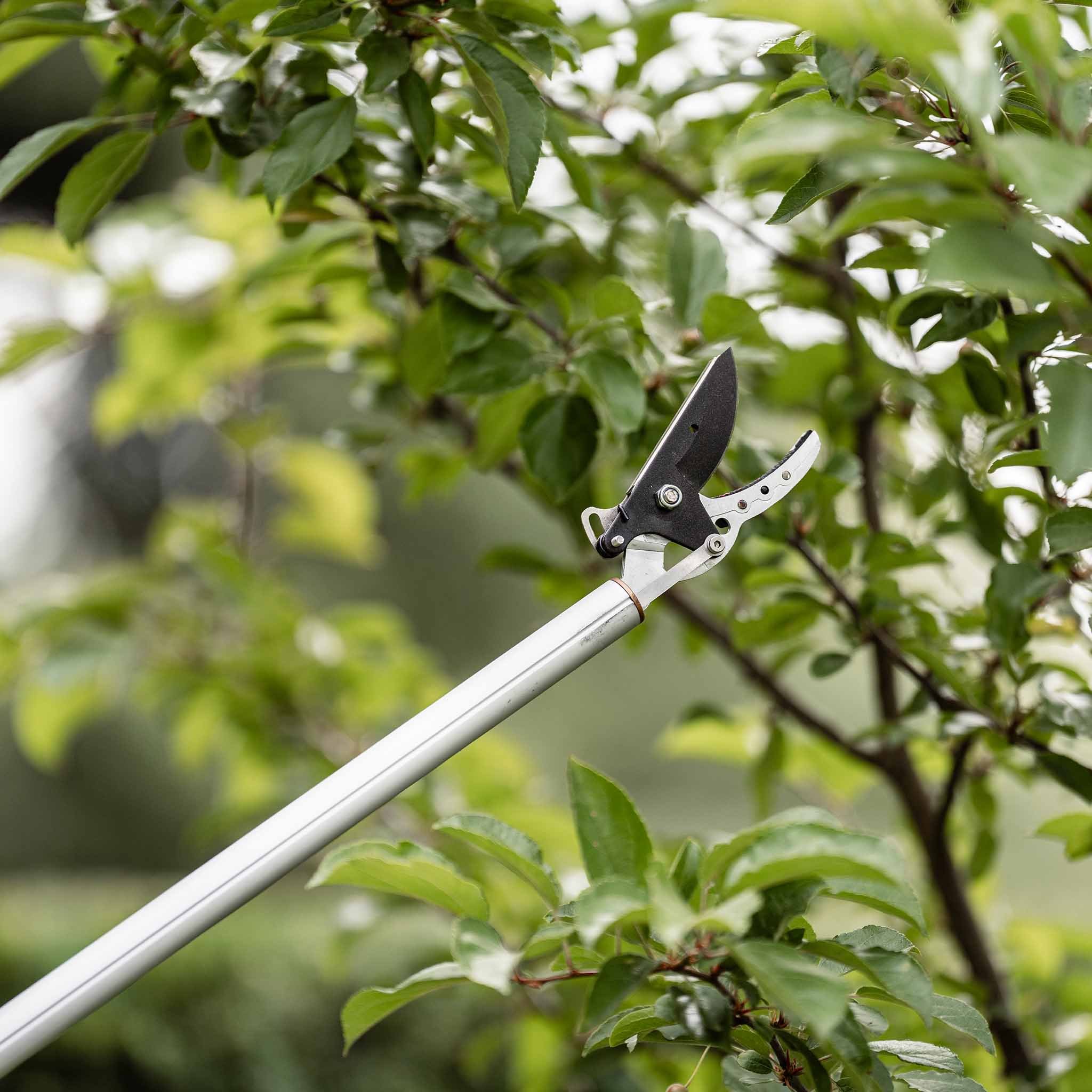 Kent & Stowe Long Reach All Purpose Pruner - 1.3m