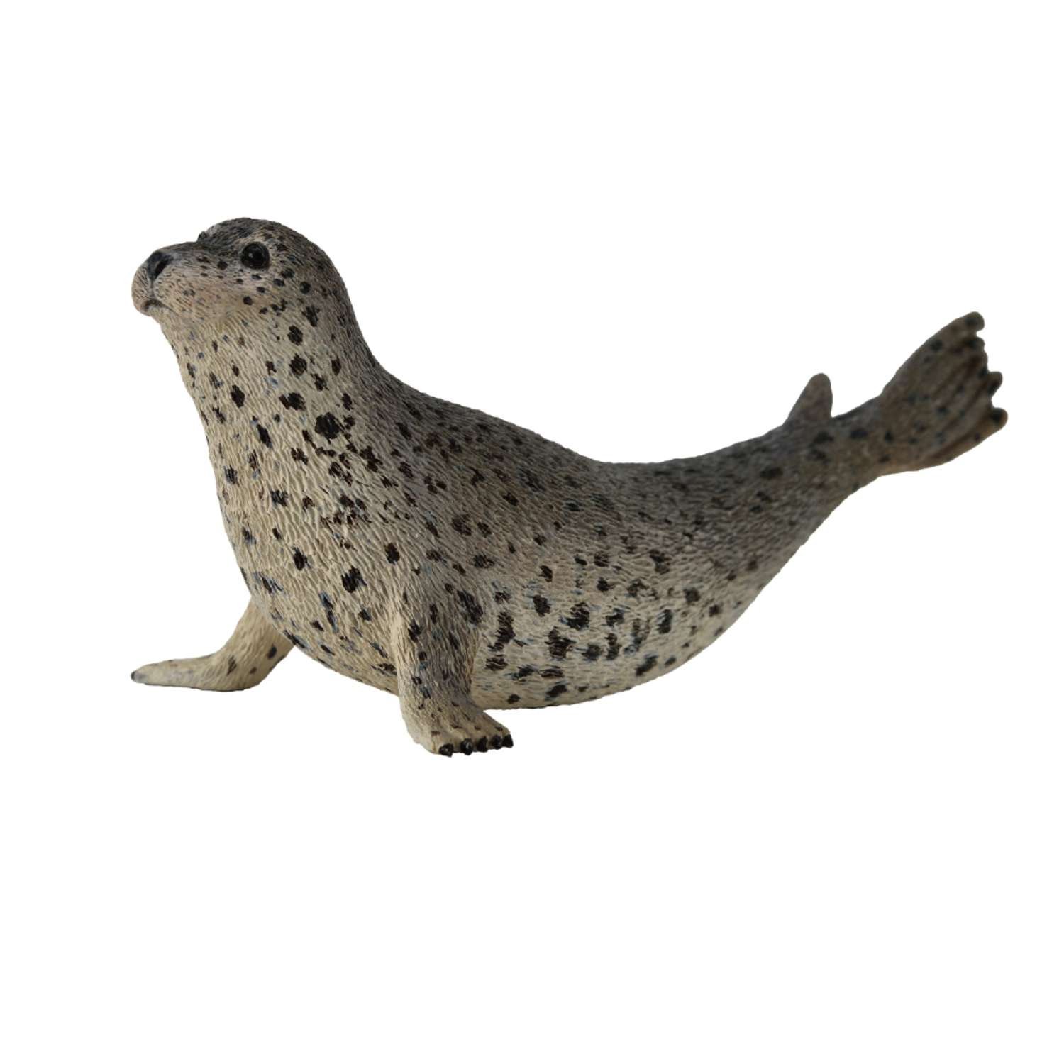 CollectA Spotted Seal - 3 Years +