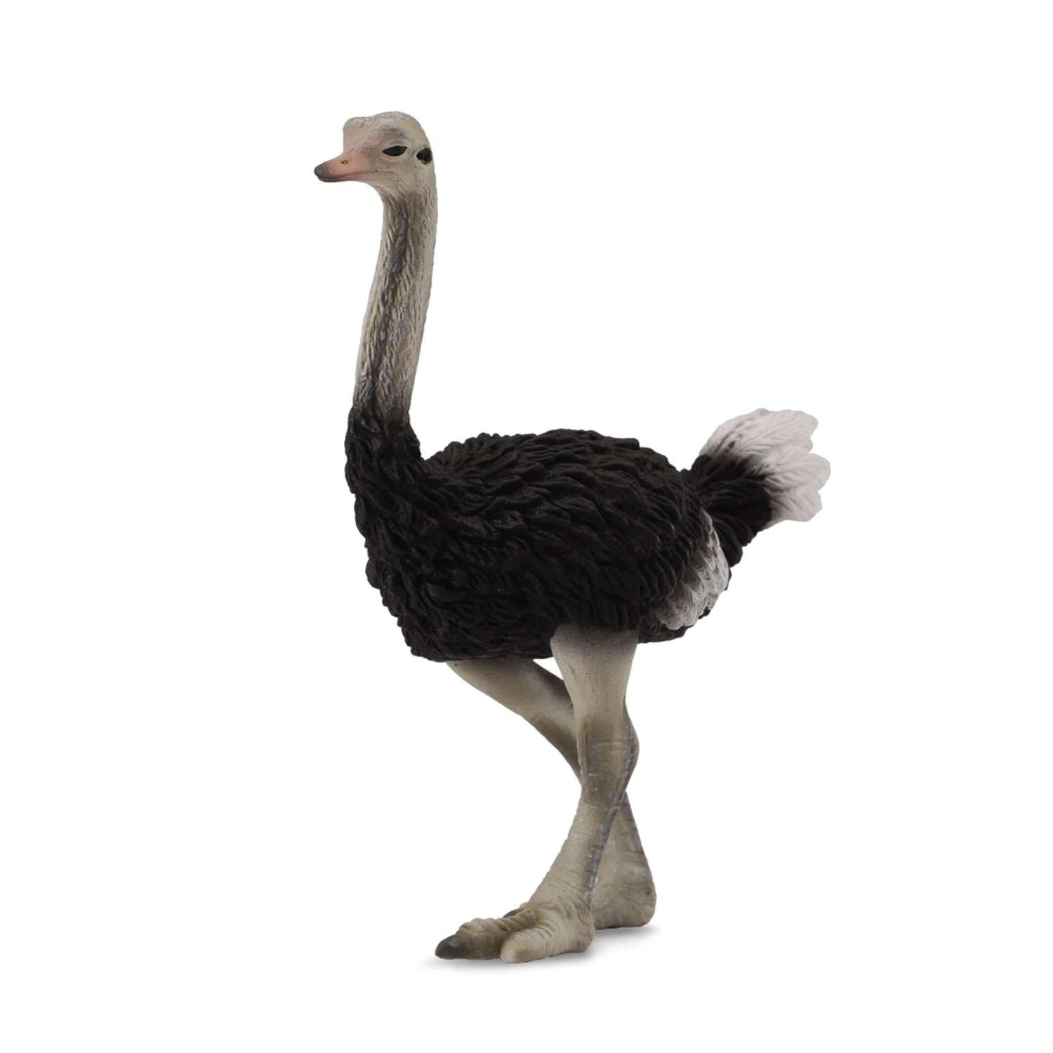CollectA Ostrich - 3 Years +