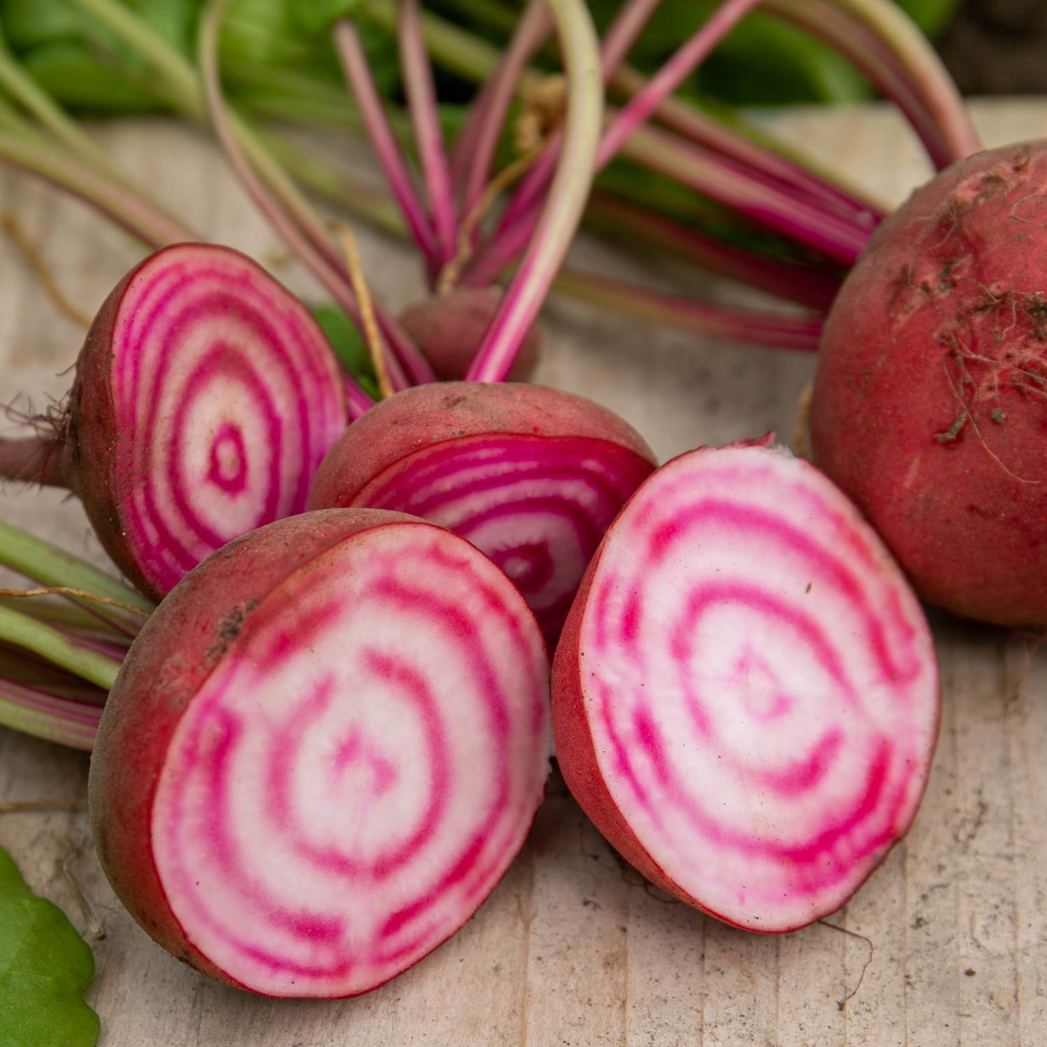 Unwins Beetroot Seeds 'Chioggia' - 250 Seeds