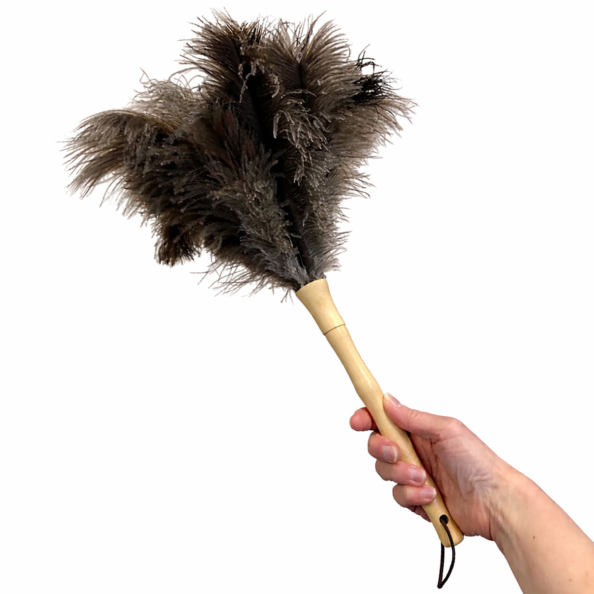 Home Valet Ostrich Feather Handheld Duster with Wooden Handle