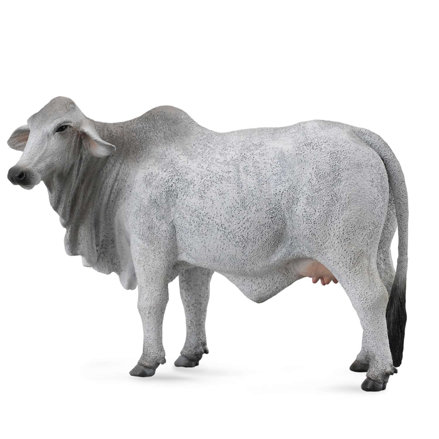 CollectA Brahman Cow - 3 Years +