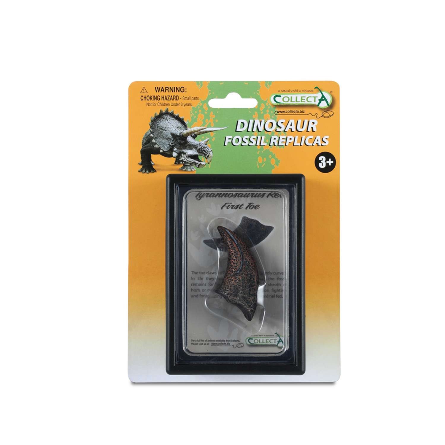 CollectA First Toe Of T-Rex In Display Case - 3 Years +