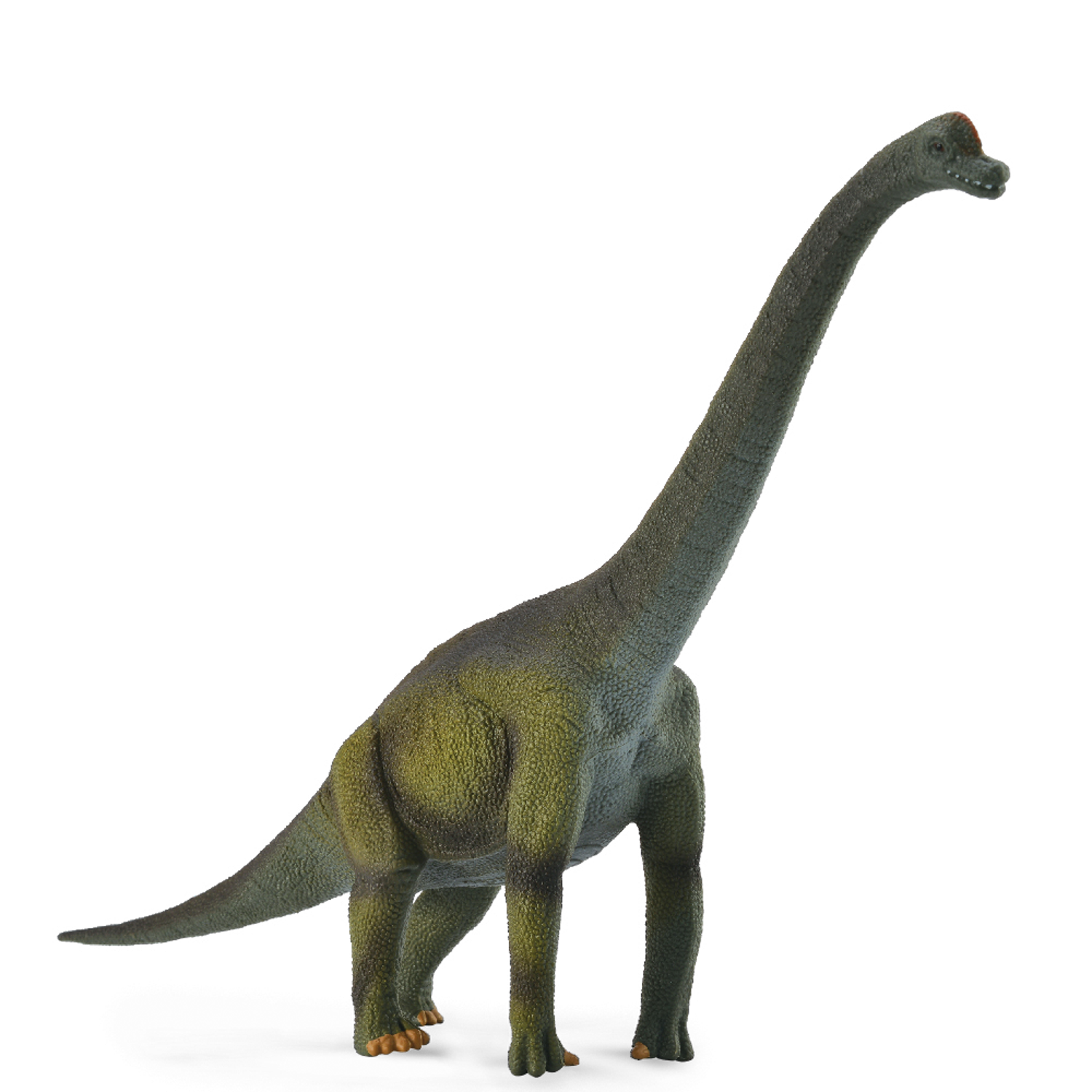 CollectA Brachiosaurus - 3 Years +