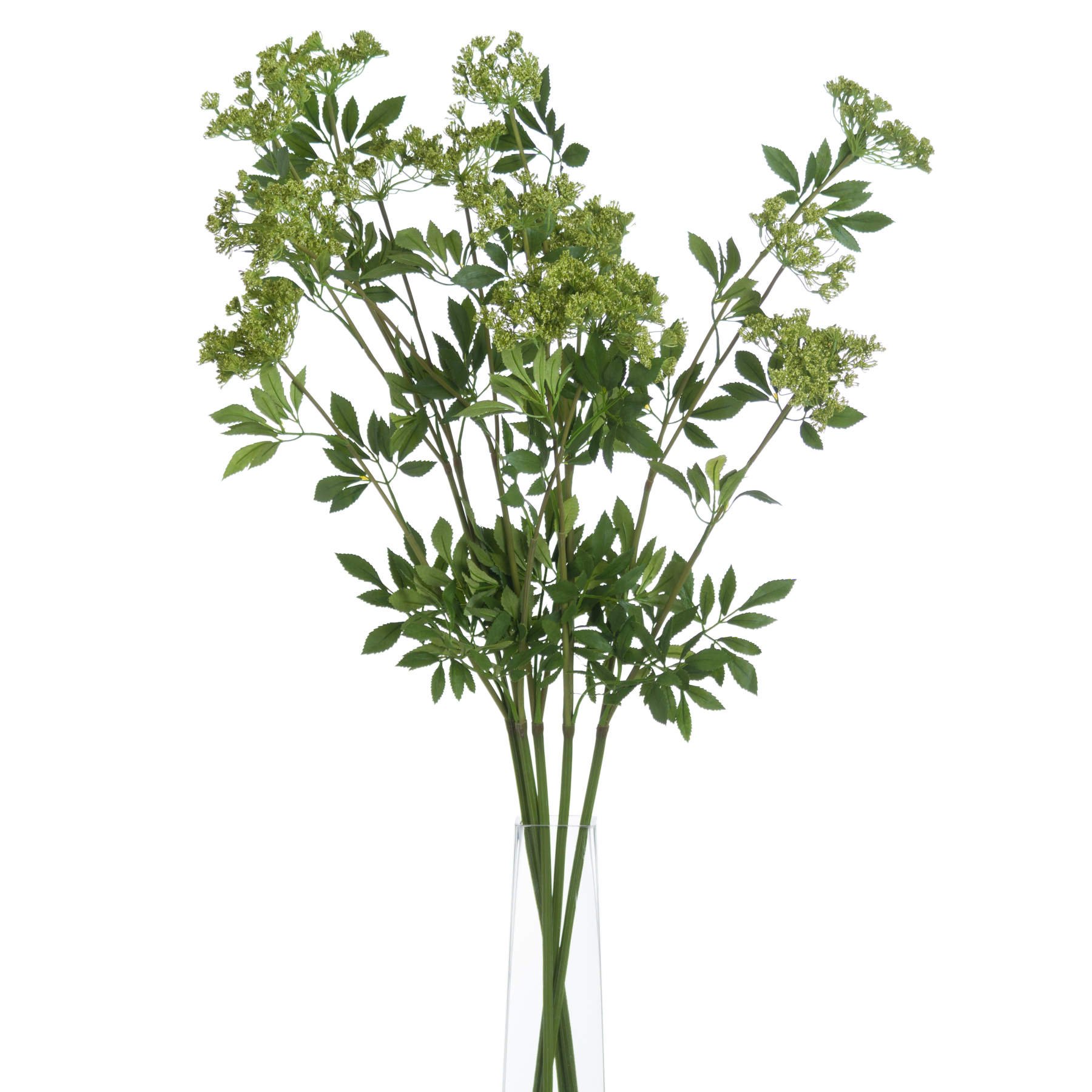 Hill Interiors Faux Ammi - Green