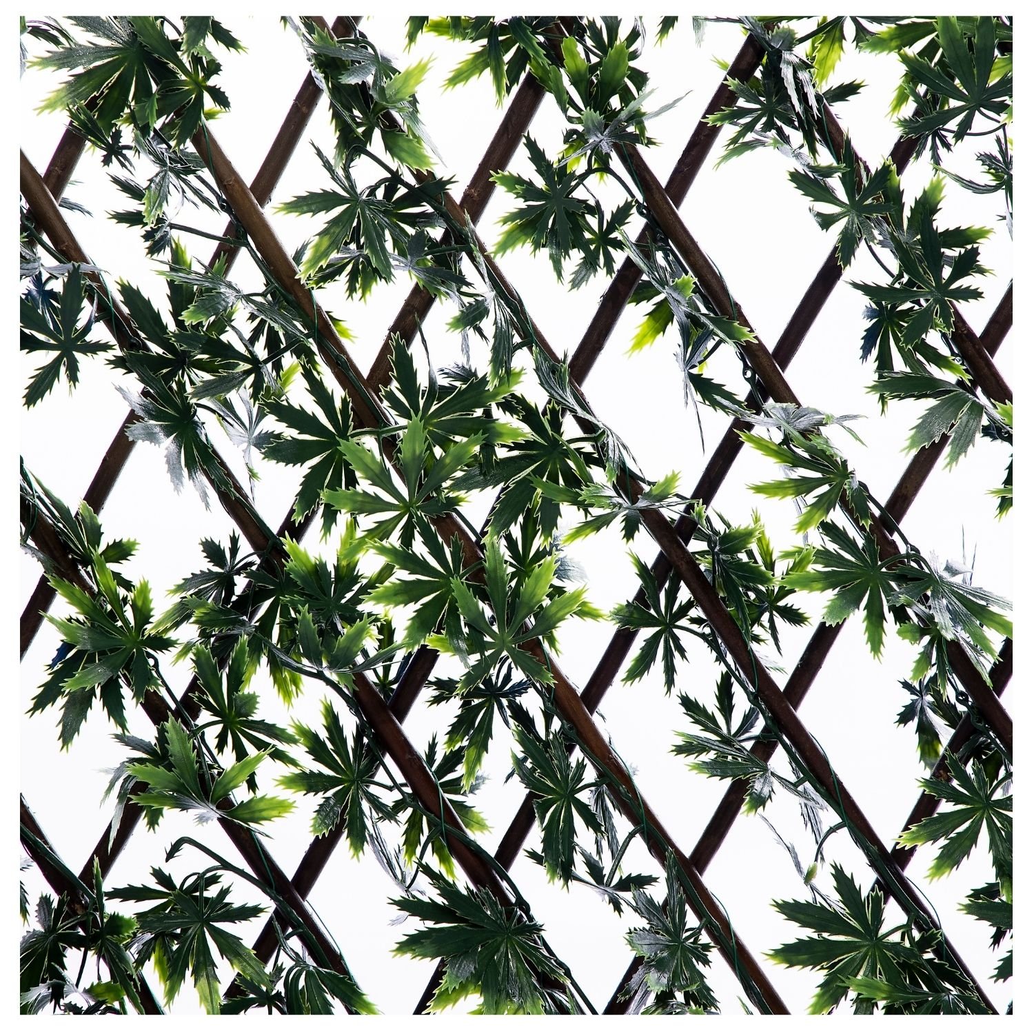 Ark Mat Expanding Wooden Trellis Privacy Screen - 200cm x 100cm - Gardenia