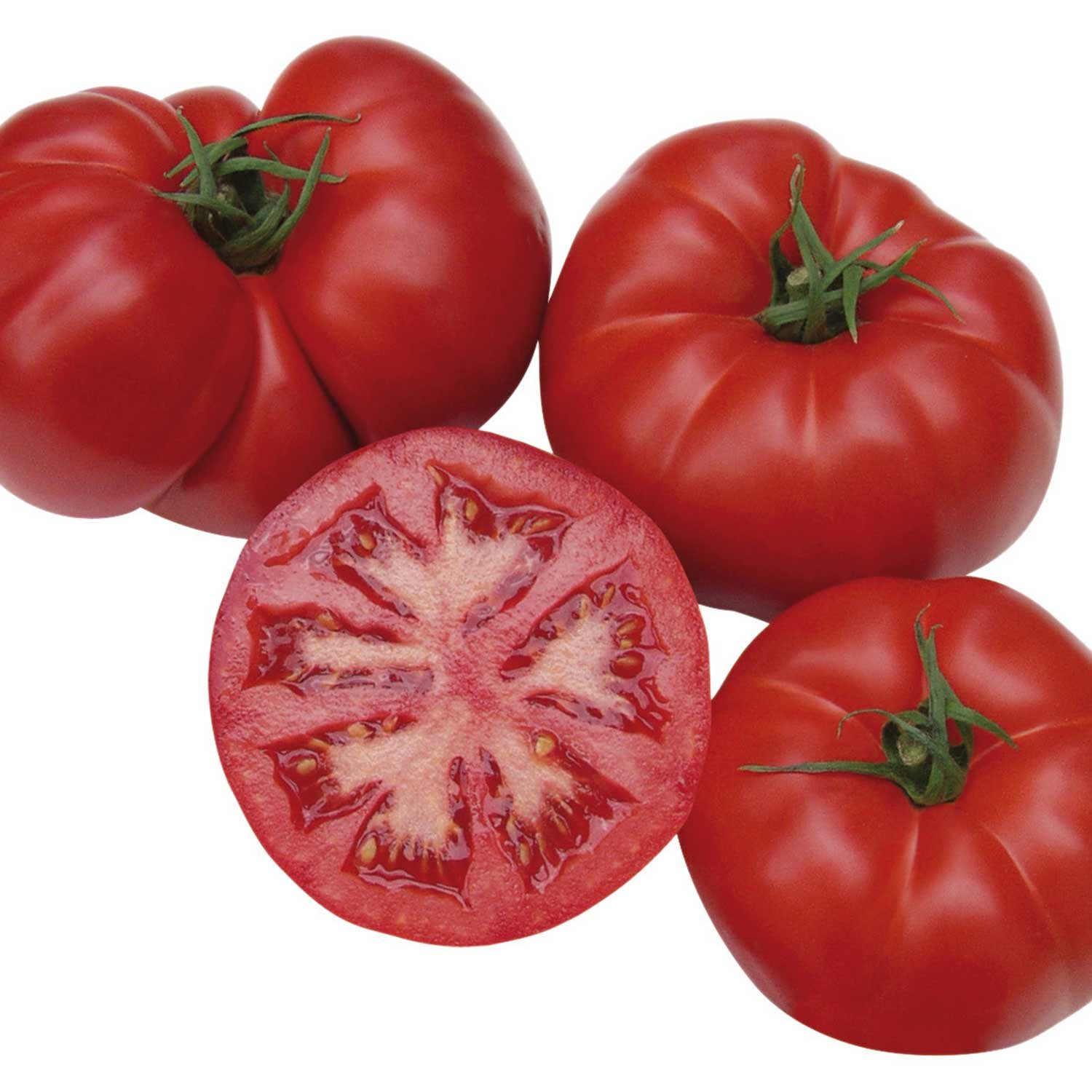 Marshalls Garden Cordon Tomato Seeds Organic 'Country Taste' F1 - 8 Seeds