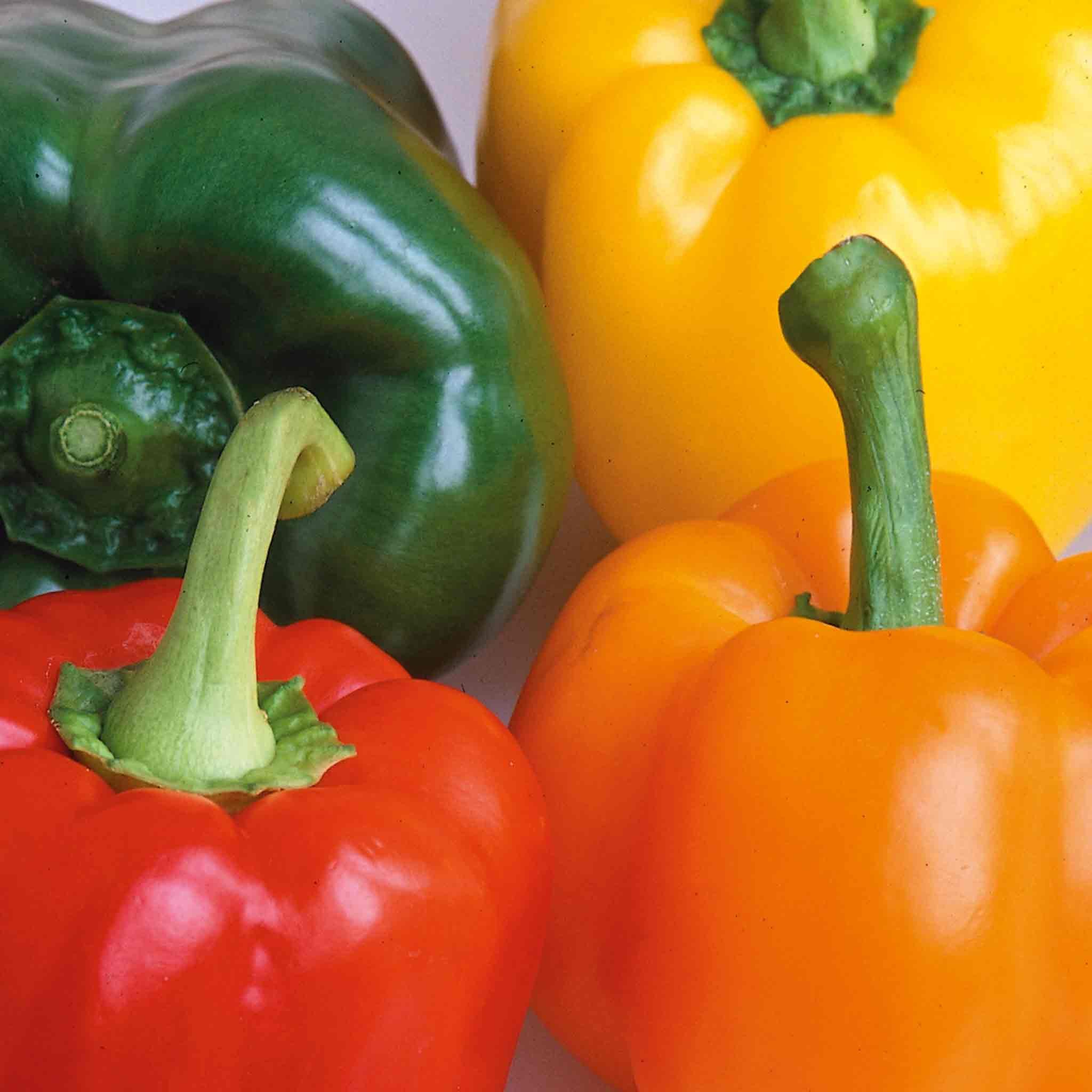 Marshalls Garden Pepper Seeds 'Salad Festival' F1 - Approx 15 Seeds