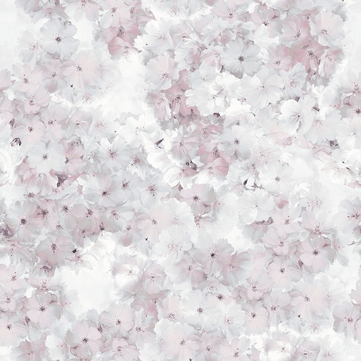 Muriva Apple Blossom Wallpaper - Rose