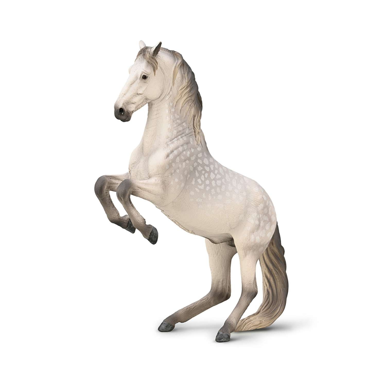 CollectA Lipizzaner Stallion Dapple - 3 Years +
