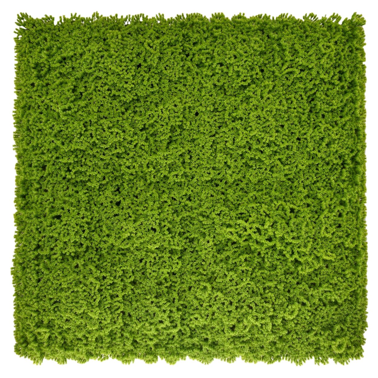 Ark Mat Artificial Living Wall Panel - Moss - 1m x 1m