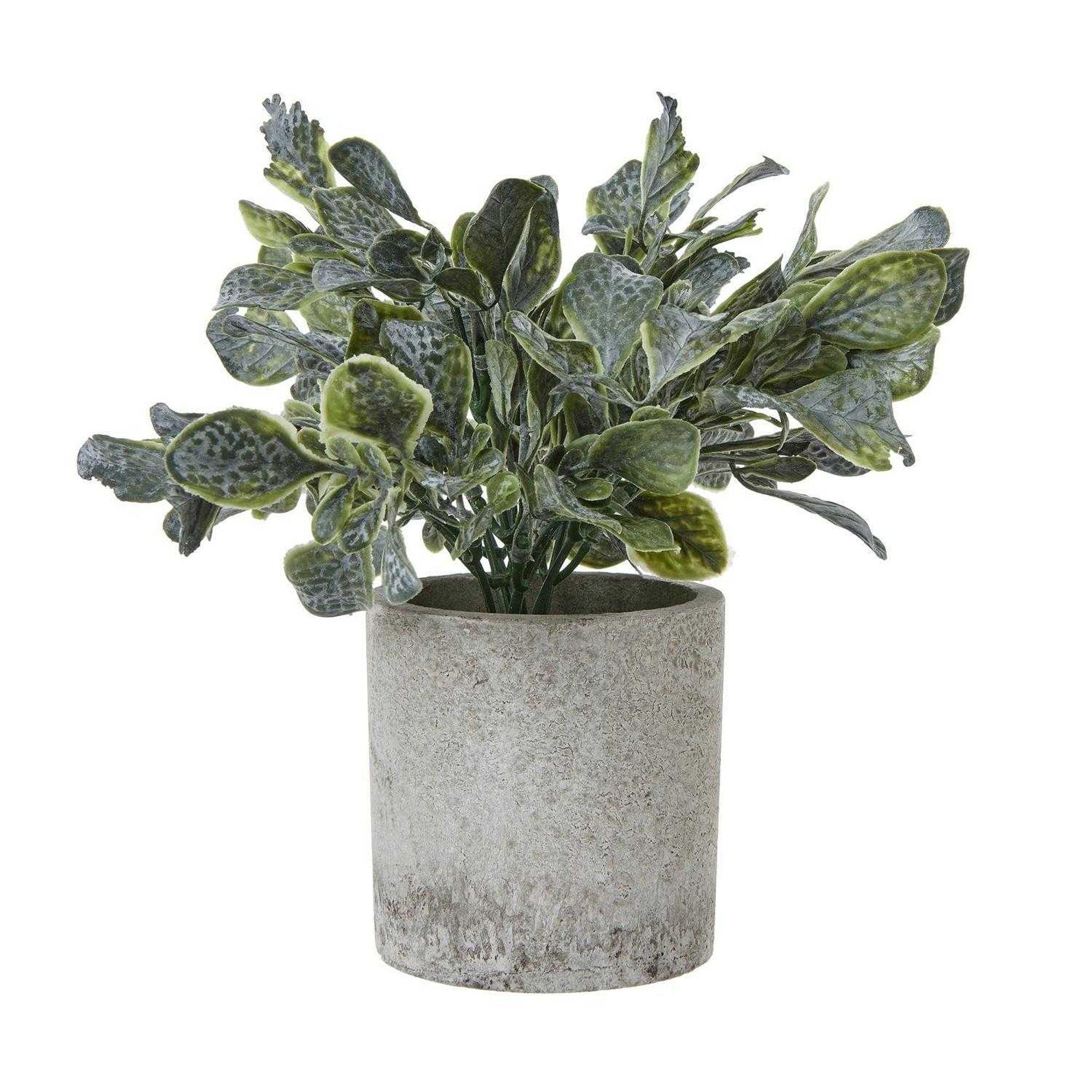 Hill Interiors Giana Eucalyptus Artificial Plant - Green