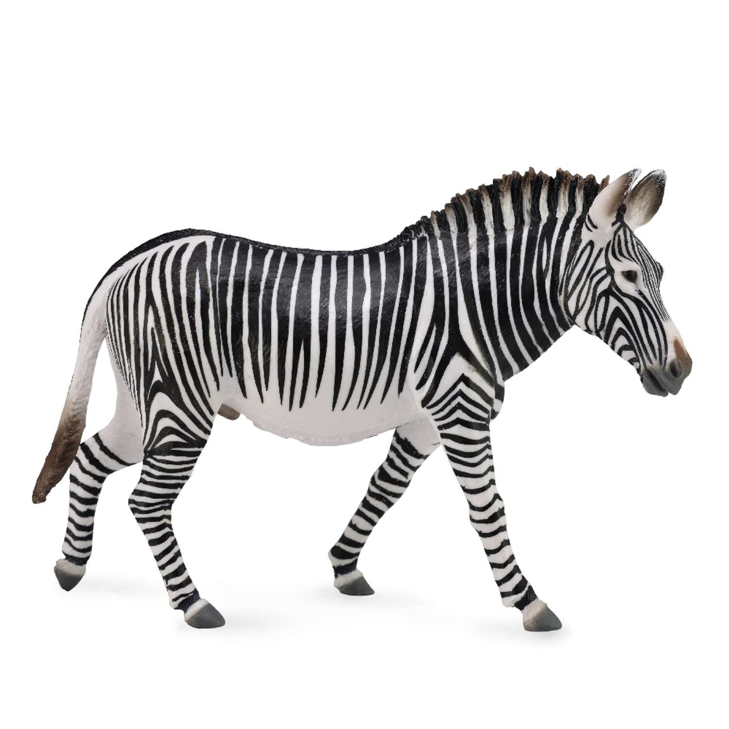 CollectA Grevy's Zebra - 3 Years +