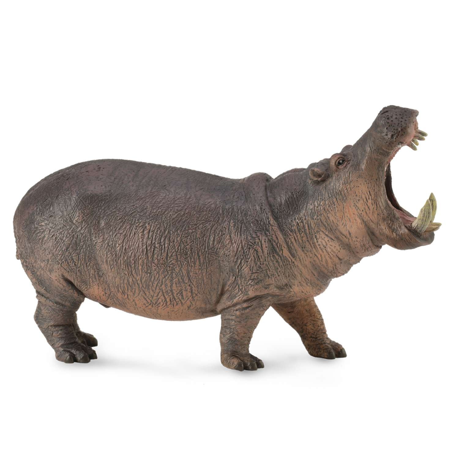 CollectA Hippopotamus - 3 Years +