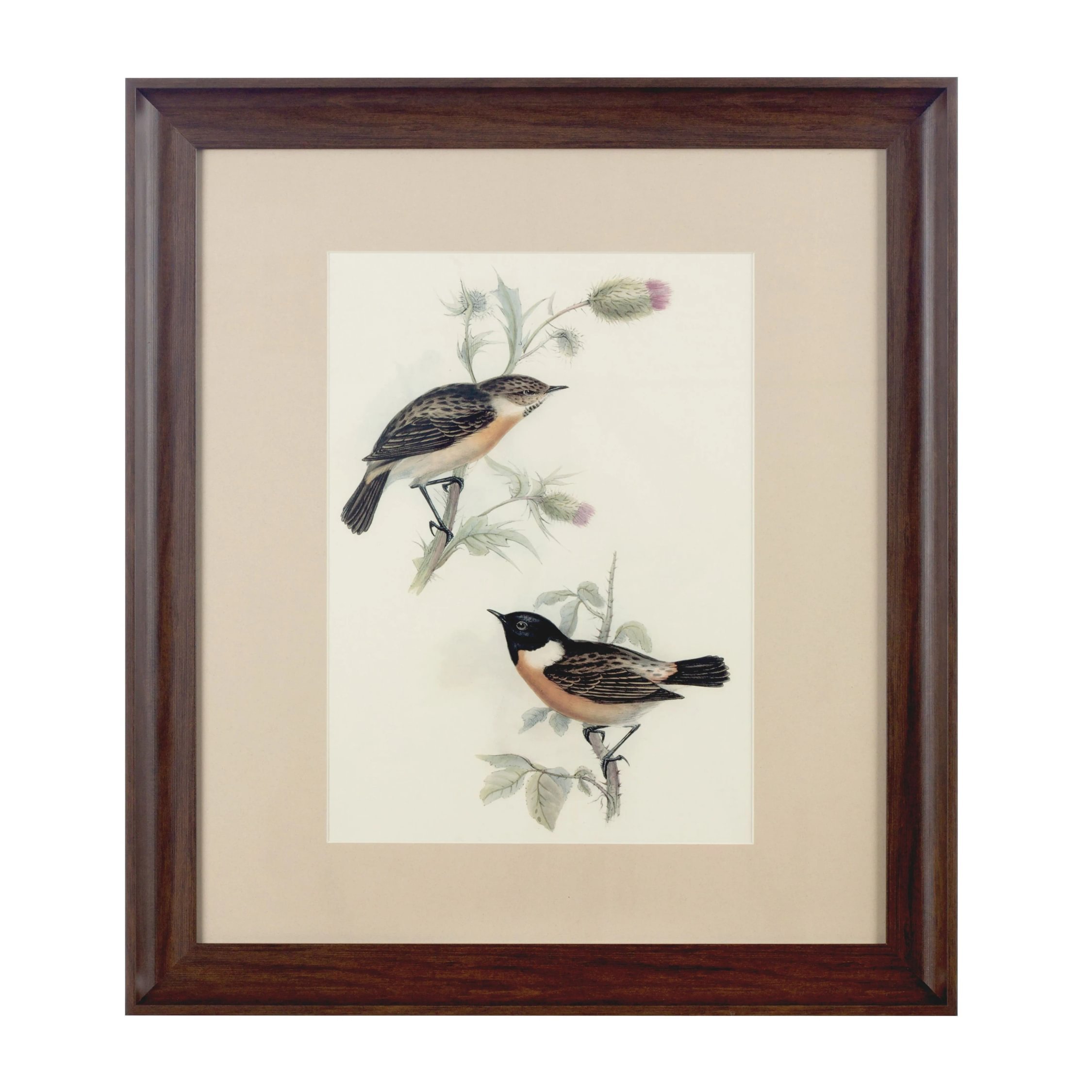 Orsina Framed Birds 2 Wall Art