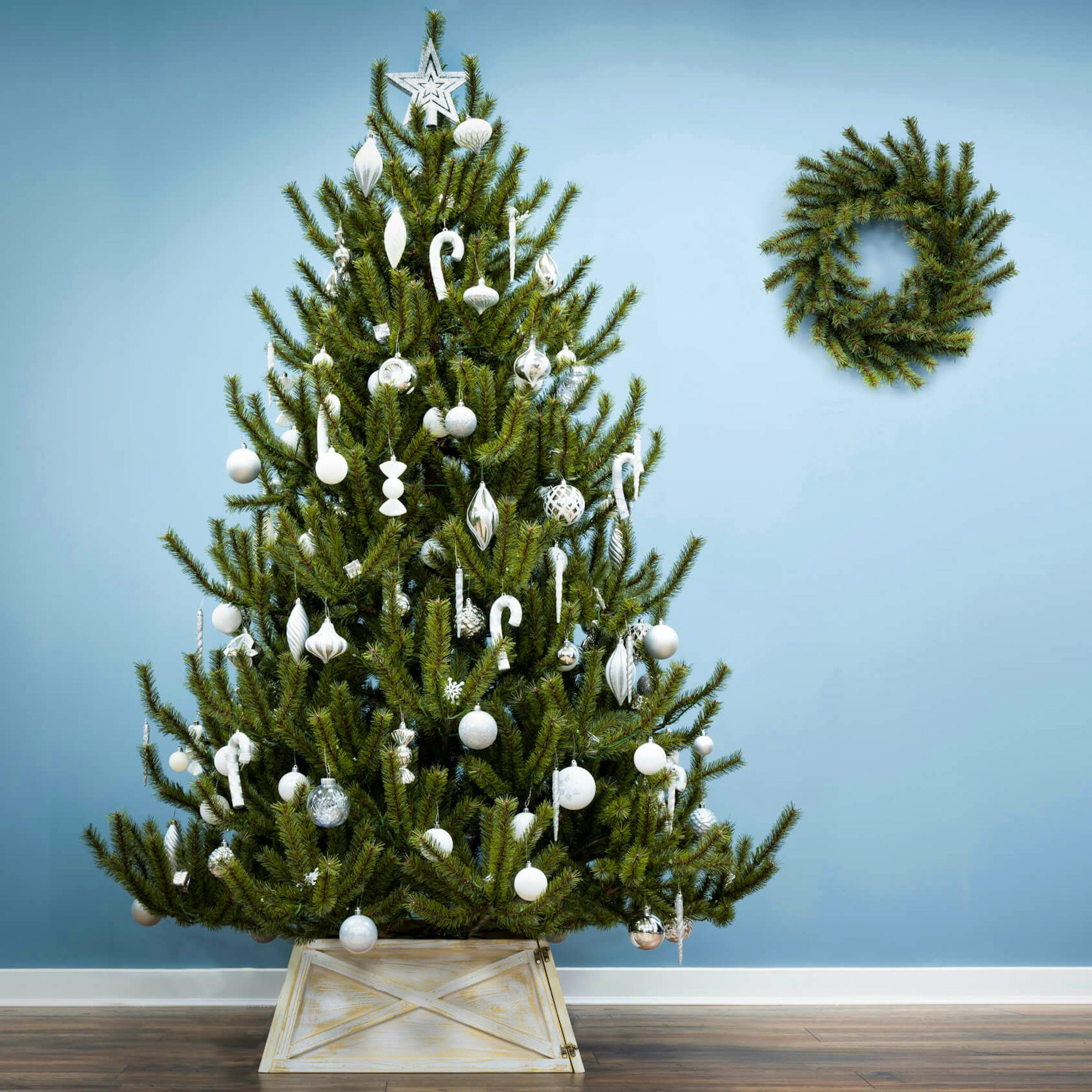 Christmas Tree World 8ft Matterhorn Pine Christmas Tree