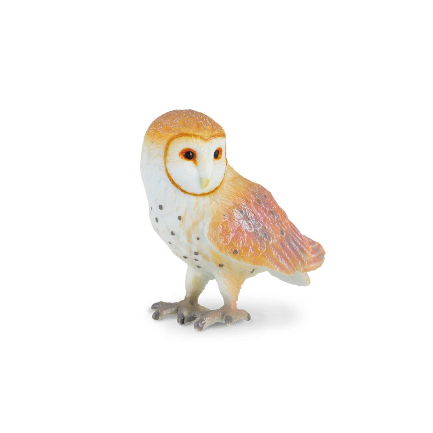 CollectA Barn Owl - 3 Years +