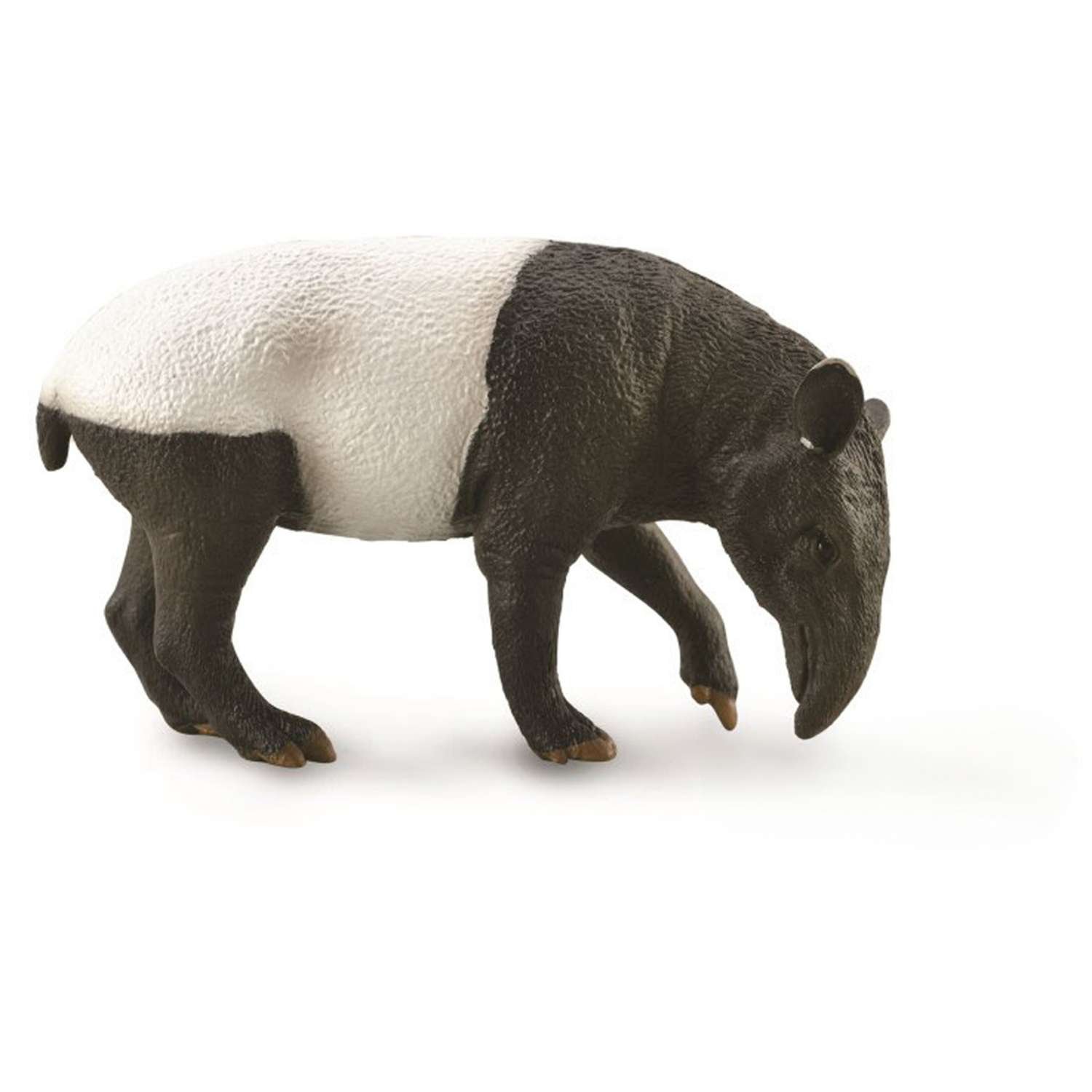 CollectA Malayan Tapir - 3 Years +